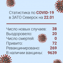 Ежедневная статистика по Сovid-19 в Северске