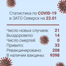 Ежедневная статистика по Сovid-19 в Северске